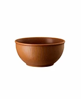 Rosenthal Clay Set of 4 Cereal Bowls, Service for