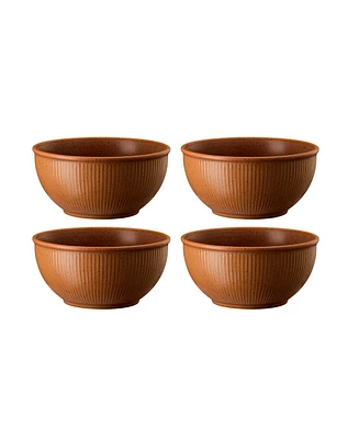 Rosenthal Clay Set of 4 Cereal Bowls, Service for