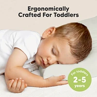 Toddler Pillow with Pillowcase