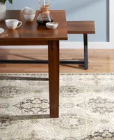 Town & Country Living Everyday Avani Everwash 6'6" x 9'6" Area Rug