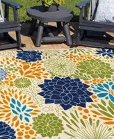 Main Street Rugs Opera Outdoor Area Rug