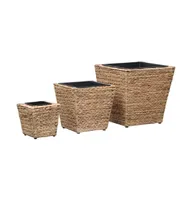 vidaXL Raised Beds 3 pcs Water Hyacinth