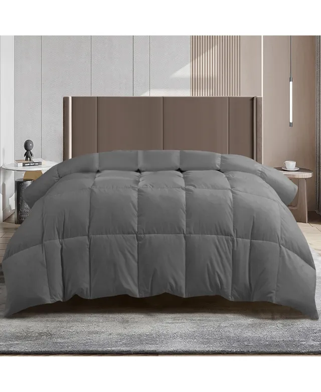 Ldc Lux Decor Collection Lux Decor Collection Down Alternative Comforter  Soft Plush Box Stitched Single Comforters All Season Hypoallergenic Silicon  zed Fiberfill Quilted Duve