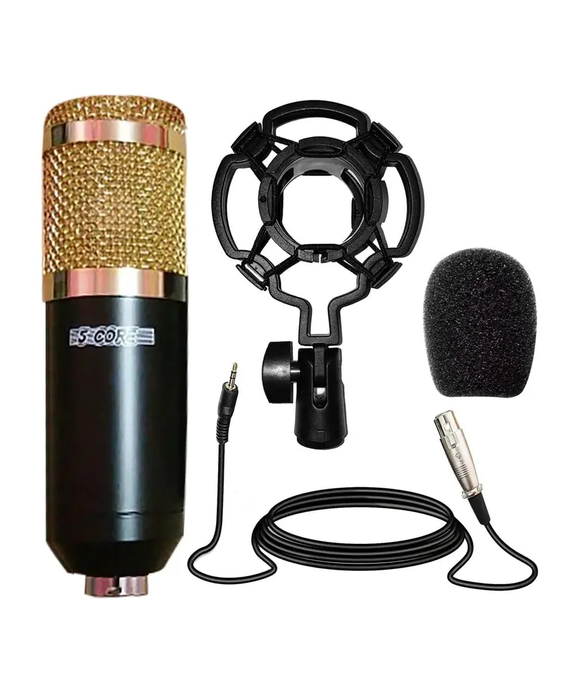 5 Core Professional Studio Recording Kit Podcast Equipment Bundle Includes Recording Microphone Shock Mount Sponge foam Noise Free Xlr Cable