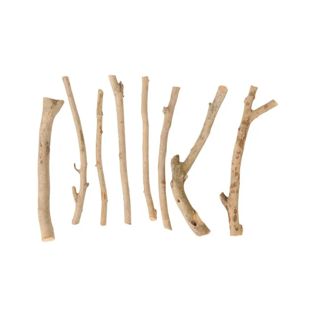 Natural Wooden Loose Parts Kit