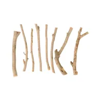 Center Enterprises Natural Wooden Loose Parts Kit