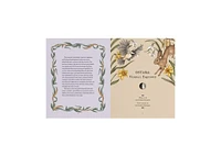 The Wheel of the Year- An Illustrated Guide to Nature's Rhythms by Fiona Cook