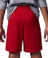 Jordan Little Boys Essentials Graphic Mesh Shorts