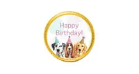 84 Pcs Dogs Kid's Birthday Candy Party Favors Chocolate Coins with Gold Foil