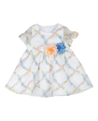Rare Editions Baby Girls Short Sleeves Embroidered Organza Social Dress