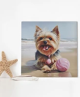 Madison Park Beach Dogs Yorkie Canvas Wall Art