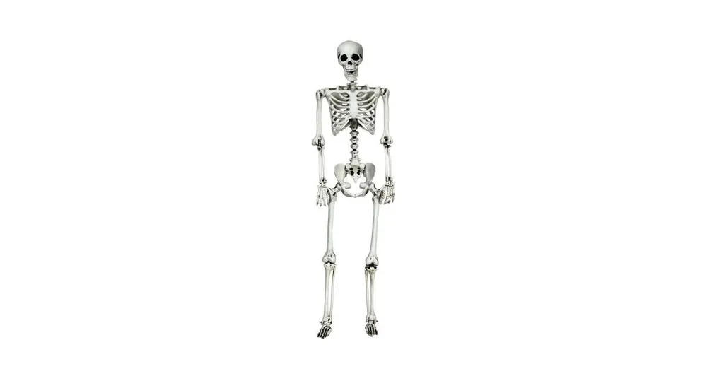 5.4 Feet Halloween Skeleton Life Size Realistic Full Body Hanging