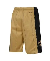 Big Boys Nike Gold Toronto Raptors 2023/24 City Edition Swingman Performance Shorts