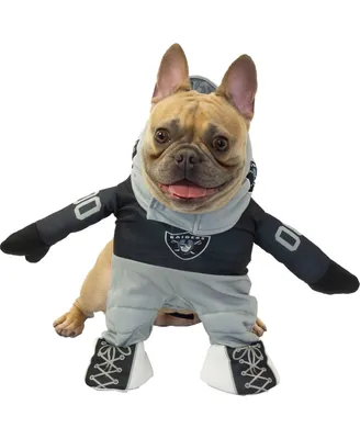 Las Vegas Raiders Running Dog Costume
