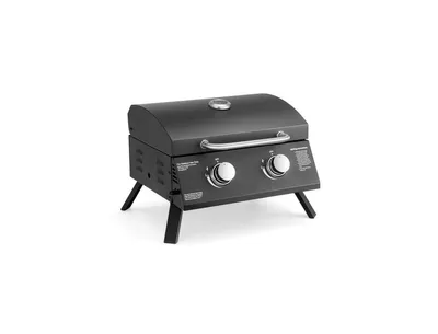 2-Burner Propane Gas Grill 20000 Btu Outdoor Portable with Thermometer