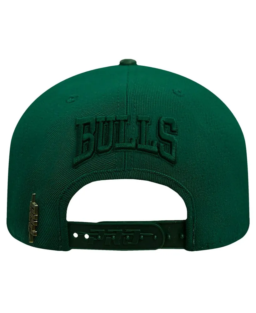 Men's Pro Standard Forest Green Chicago Bulls Tonal Logo Snapback Hat