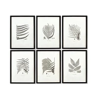 Framed Gray-Tone Fern Prints, Set Of 6