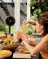 Shark FlexBreeze Fan FA222