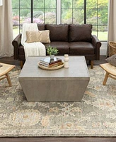 Karastan Coventry Kenilworth Area Rug