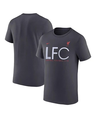 Men's Nike Gray Liverpool Mercurial T-shirt