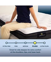 Serta Perfect Sleeper Adoring Night 11" Plush Euro Top Mattress