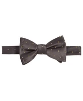 Tayion Collection Men's Brown Dot Bow Tie