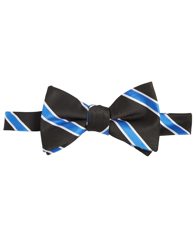 Tayion Collection Men's Royal Blue & White Stripe Bow Tie