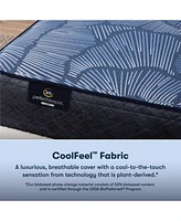 Serta Perfect Sleeper Euphoric Nights 14 Firm Hybrid Mattress Collection