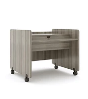 Tot Mate Mobile Desk