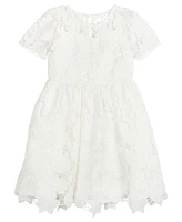 Rare Editions Toddler Girls Illusion Cap Sleeves Burnout Crochet Social Dress