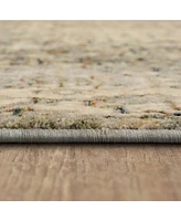 Karastan Divina Bliss 2'6" x 7'10" Runner Area Rug