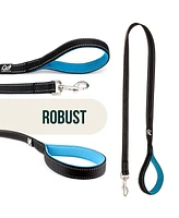 Reflective Dog Leash with Training Control and Cushion Handle