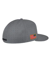 Men's Nike Gray Iowa Hawkeyes Usa Side Patch True AeroBill Performance Fitted Hat