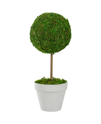 Northlight 16" Reindeer Moss Ball Potted Artificial Spring Topiary Tree