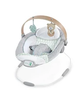 Cozy Spot Soothing Bouncer