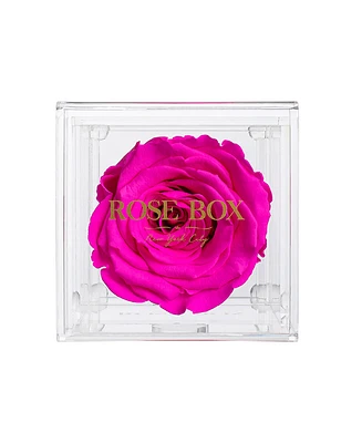 Rose Box Nyc Jewelry box of Neon Pink Long Lasting Preserved Real Rose, 1 Rose