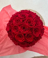 Rose Box Nyc Half Ball of Red Flame Long Lasting Preserved Real Roses Mini Rustic Vase, 26-29 Roses