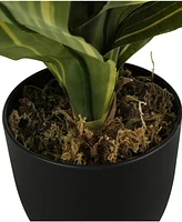 Monarch Specialties 17" Indoor Artificial Dracaena Plant with Decorative Black Pot