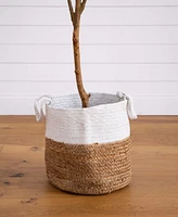 Nearly Natural 7ft. Artificial Olive Tree with Natural Trunk and Handmade Jute Basket