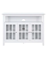 Convenience Concepts 47.75" Big Sur Deluxe Tv Stand with Cabinets and Shelf