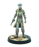 Modiphius - Wasteland Warfare - Raiders Overlords Figures