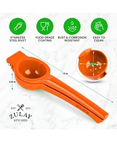 Premium Quality Metal Lemon Squeezer, Citrus Juicer, Manual Press