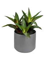 Vickerman 10" Artificial Green Aloe Plant.