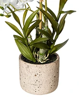 Vickerman 19" Artificial White Deluxe Potted Cycnoches Orchid.