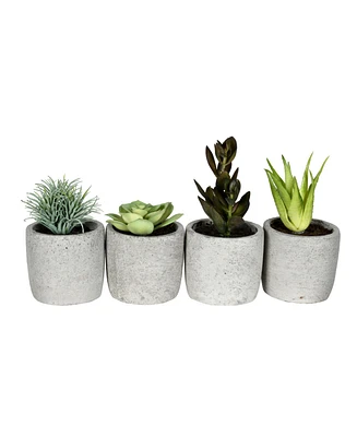 Vickerman 6" Artificial Assorted Potted Succulents, Set of 4.