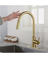 Streamdale Furniture Touch Kitchen Faucet With Pull Down Sprayer