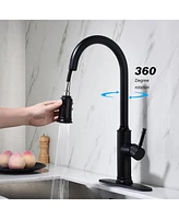 Streamdale Furniture Kitchen Faucet With Pull Out Sprayer