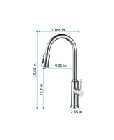 Streamdale Furniture Kitchen Faucet With Pull Out Sprayer