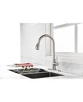 Streamdale Furniture Single Handle High Arc Brushed Nickel Pull Out Kitchen Faucet, Single Level Stainless Steel