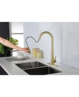 Streamdale Furniture Gold Kitchen Faucets With Pull Down Sprayer, Kitchen Sink Faucet With Pull Out Sprayer